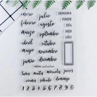 SELLO TRANSPARENTE BULLET